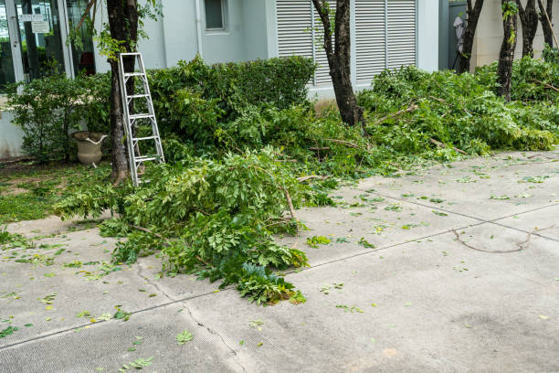 Best Lawn Mowing  in Westby, WI
