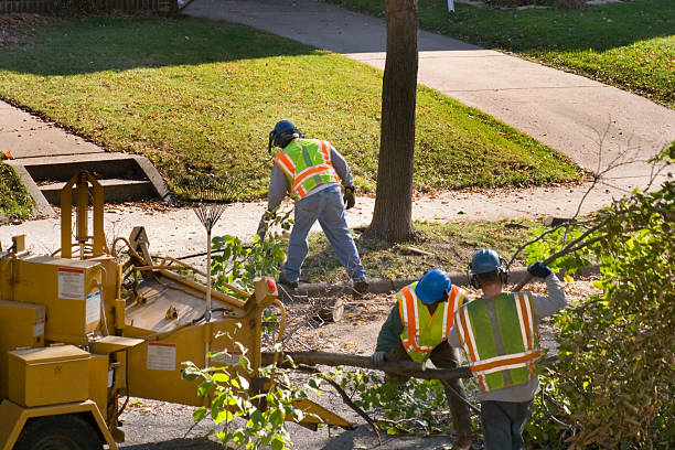 Best Aeration Services  in Westby, WI