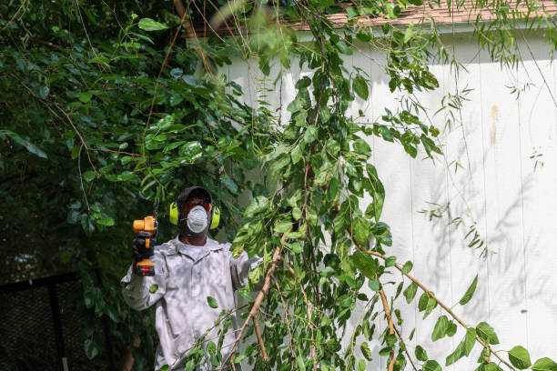 Best Lawn Pest Prevention  in Westby, WI